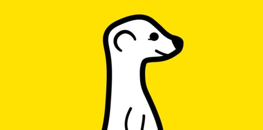 meerkat-app