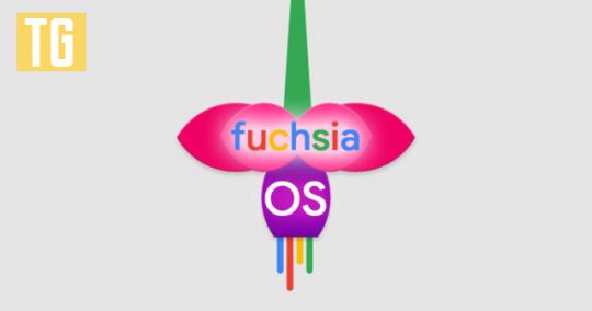 Fuchsia-OS