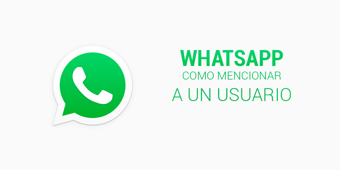 Cómo Mencionar A Usuario En Un Grupo De Whatsapp